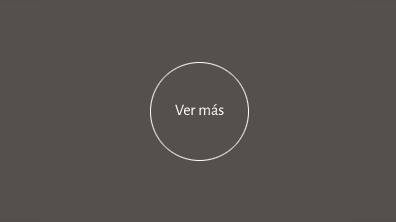 MARCA PORTANTINO