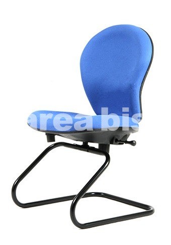Ergo trineo- ERGONÓMICA Código N4-0055